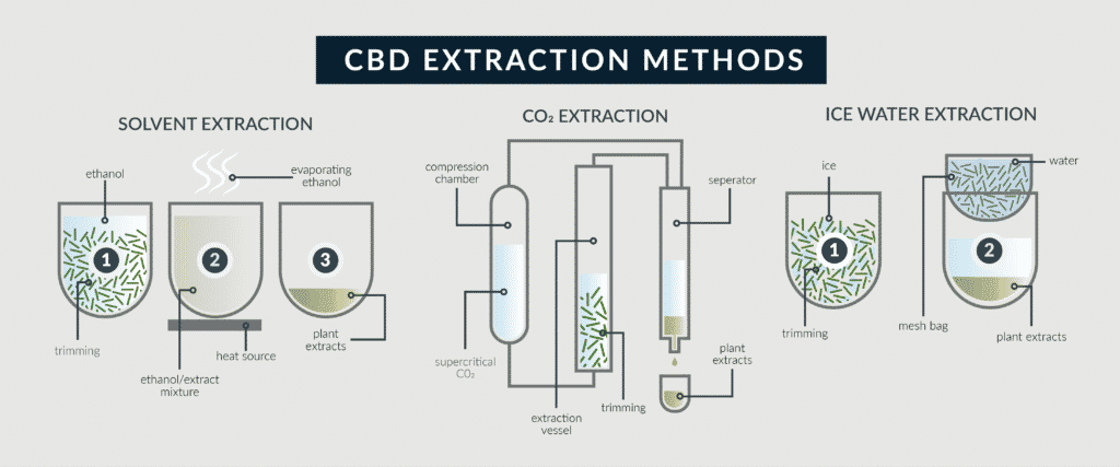 Infographic comparing CBD extraction methods — CO2, ethanol, and hydrocarbon — and their temperature requirements