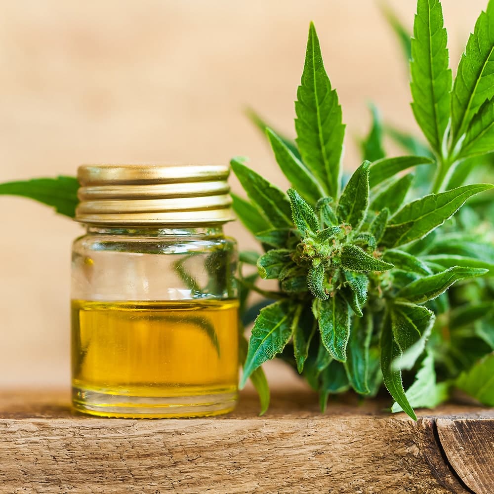 CBD oil extraction equipment with precision temperature-controlled chiller