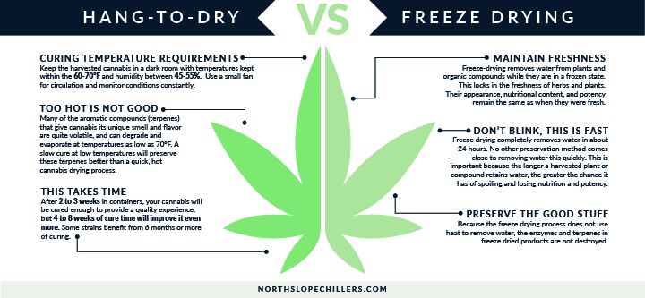 North Slope Chillers graphic comparing hang drying and freeze drying cannabis