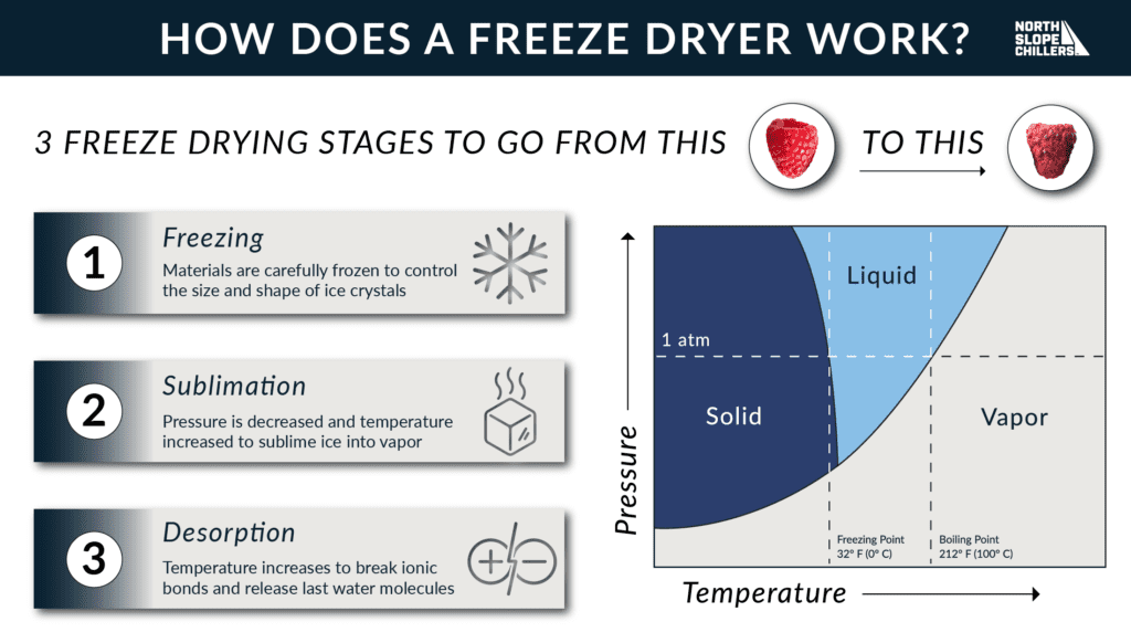 North Slope Chillers graphic on the stages of freeze drying