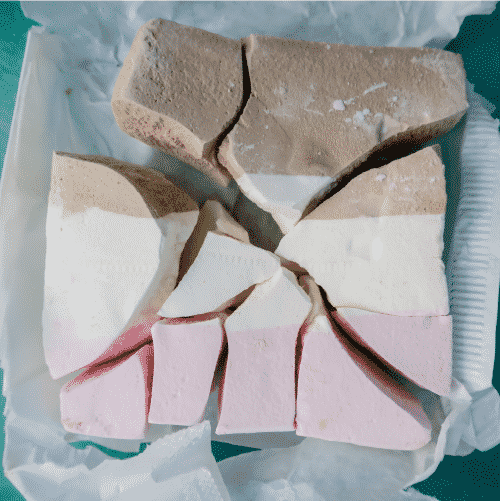 How Does A Freeze Dryer Work — what is freeze drying? guide from North Slope Chillers