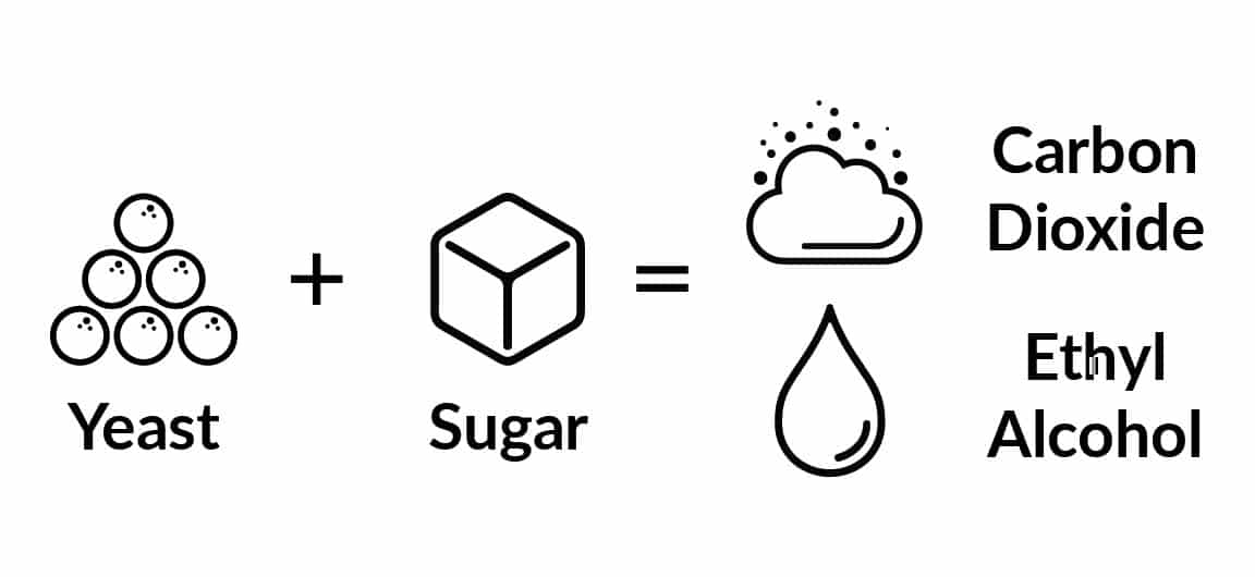 North Slope Chillers infographic showing the fermentation process, yeast + sugar = carbon dioxide and ethyl alcohol