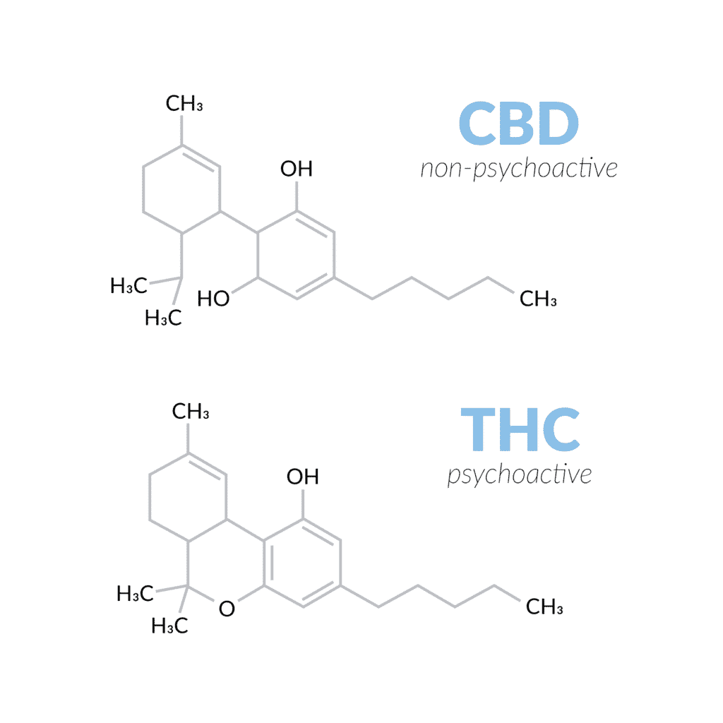 CBD vs THC comparison infographic for cannabis extraction cooling applications