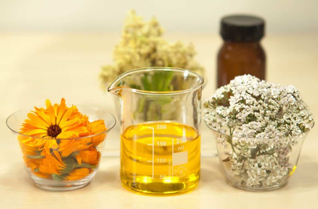 Botanical plants used in extraction processes requiring chiller-cooled equipment