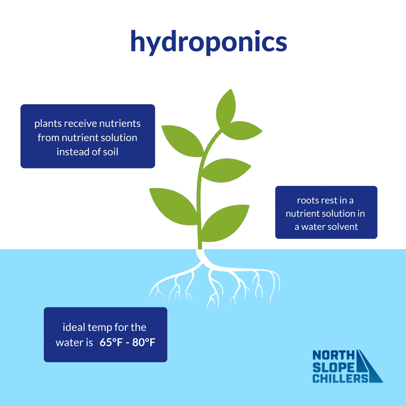 Chart showing optimal hydroponic water temperature ranges for different plant species and growing conditions