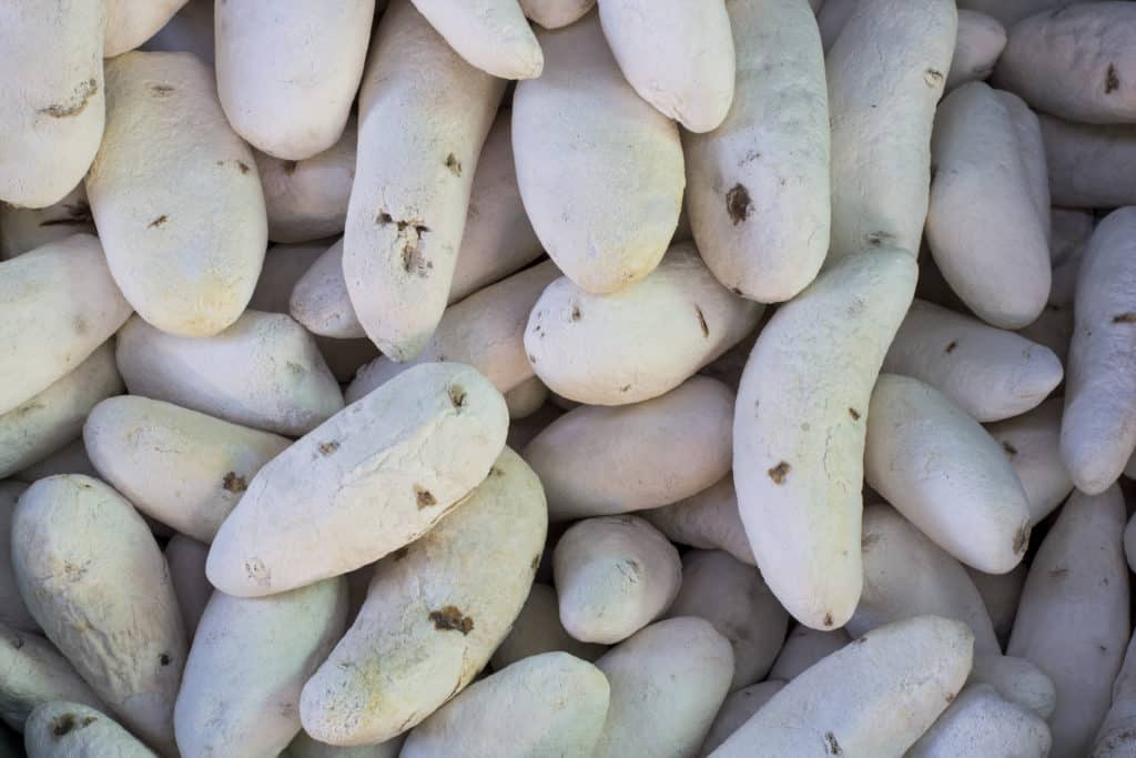 Chuño freeze-dried potatoes from the Andes, one of the earliest examples of freeze-drying food preservation