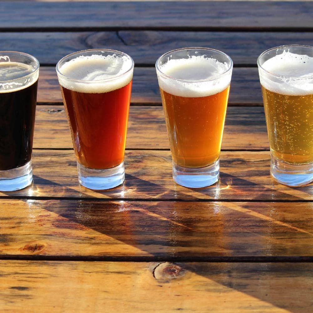 Variety of craft beer styles in glasses showing the range of brewing temperatures