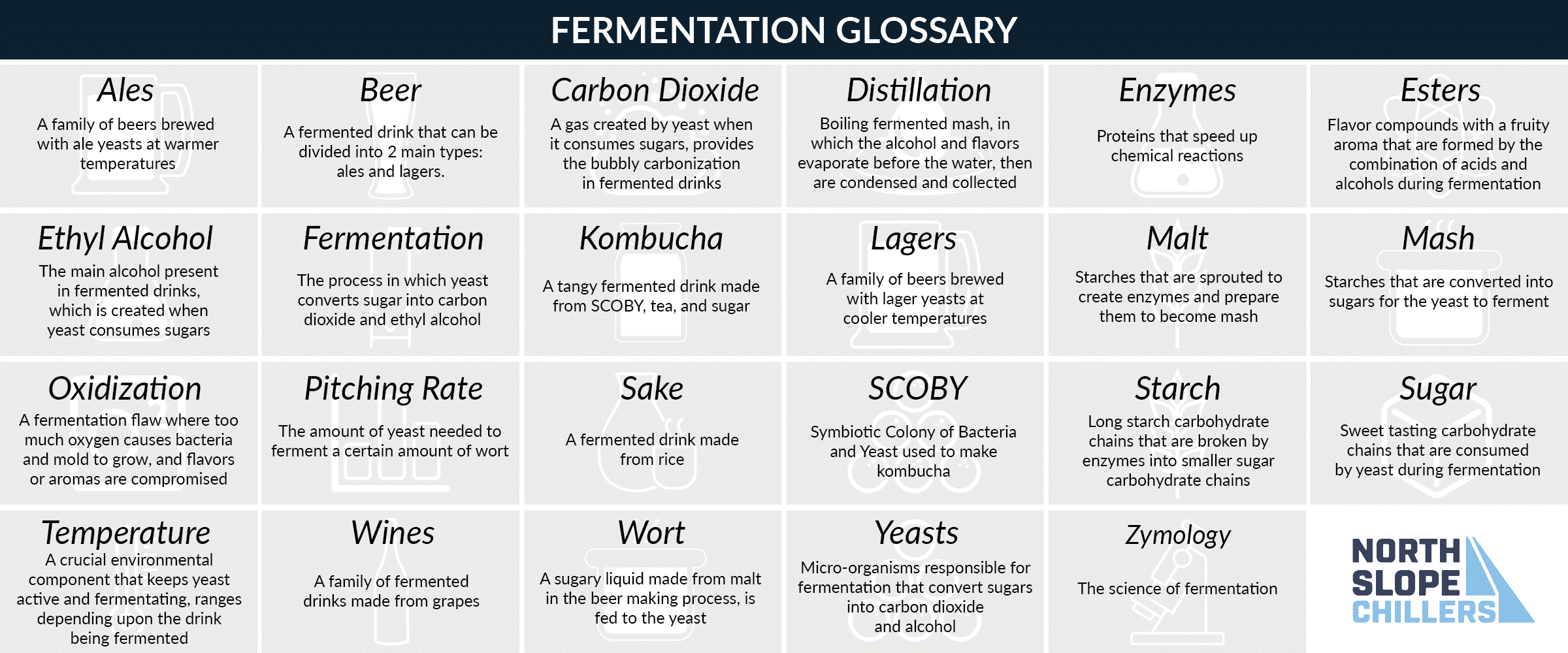 North Slope Chillers infographic of a fermentation glossary with common fermentation terms and their meanings