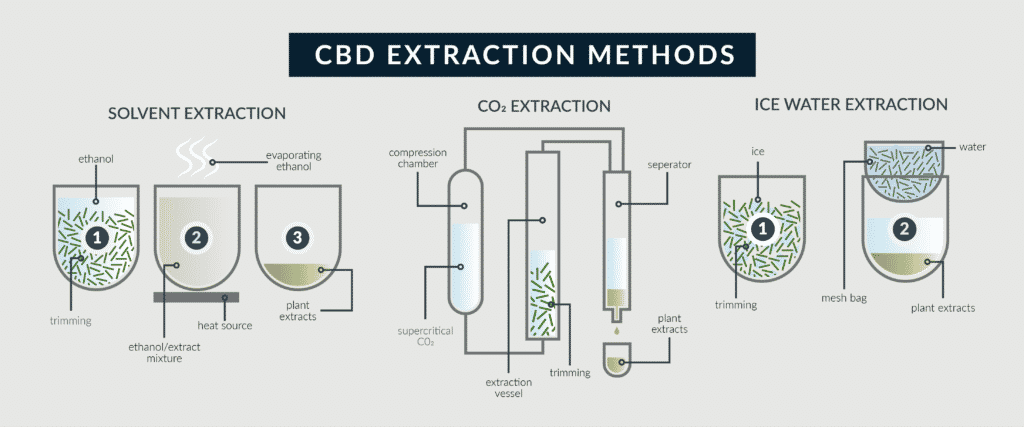 diagram of CBD extraction process