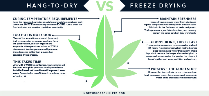 North Slope Chillers graphic comparing hang drying and freeze drying cannabis