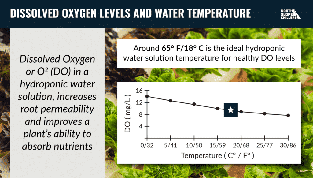 North Slope Chillers graphic showing the relationship between dissolved oxygen levels and water solution temperature